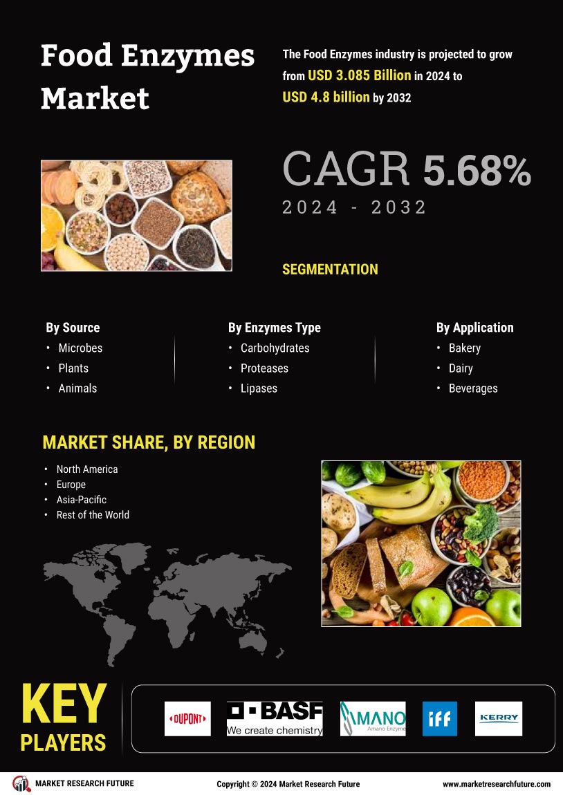 Food Enzymes Market Growth, Size, Share, Trend, Industry Report