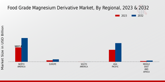 Food Grade Magnesium Derivative Market Regional