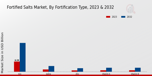 Fortified Salts Market by Fortification Type