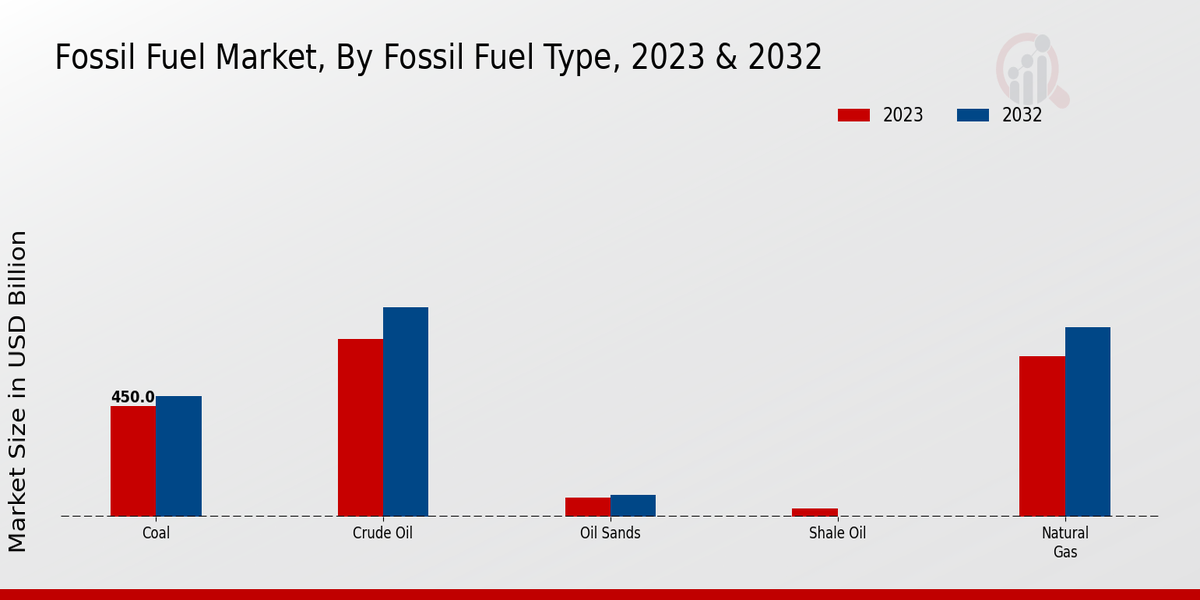 Fossil Fuel Market Fossil Fuel Type Insights  