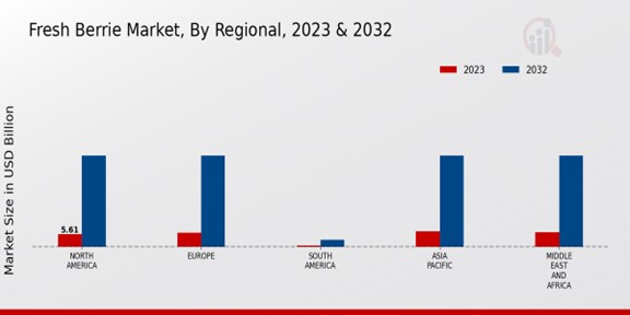 Fresh Berrie Market Regional Insights