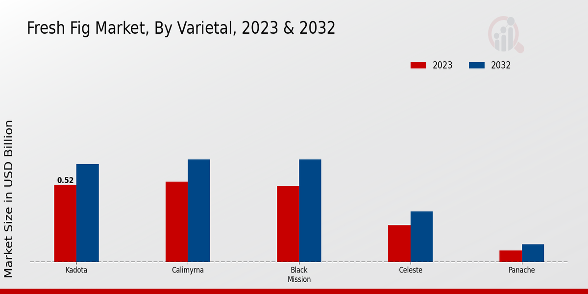 Fresh Fig Market Insights