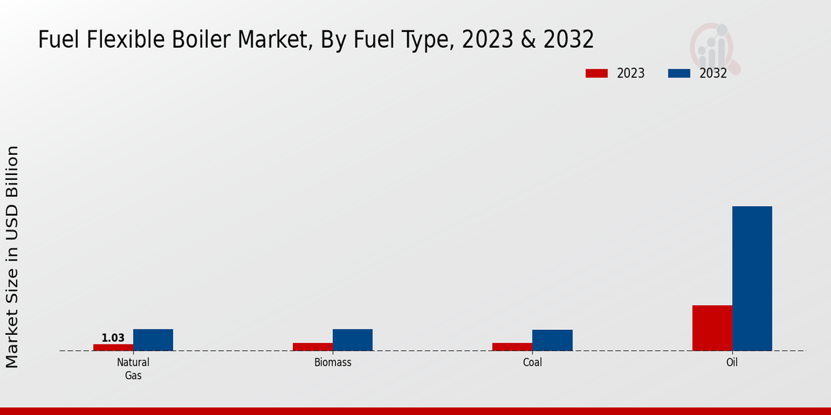 Fuel Flexible Boiler Market Fuel Type Insights