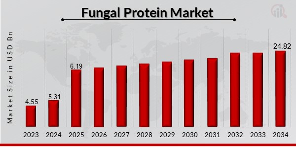 Fungal Protein Market Overview