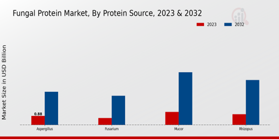 Fungal Protein Market Protein Source Insights