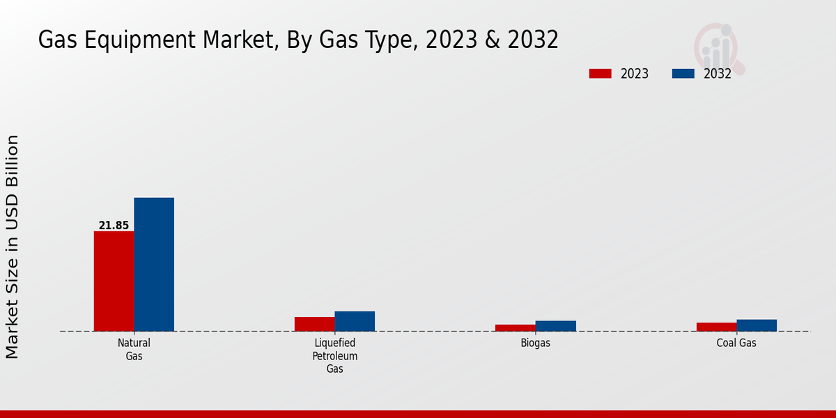 Gas Equipment Market Gas Type Insights