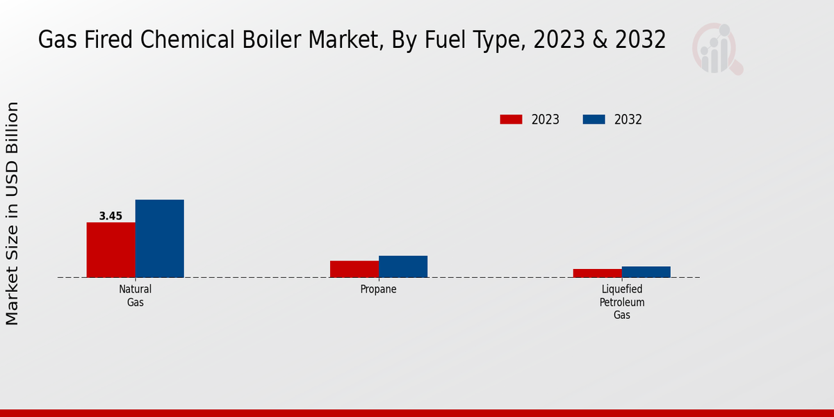 Gas-Fired Chemical Boiler Market Fuel Type