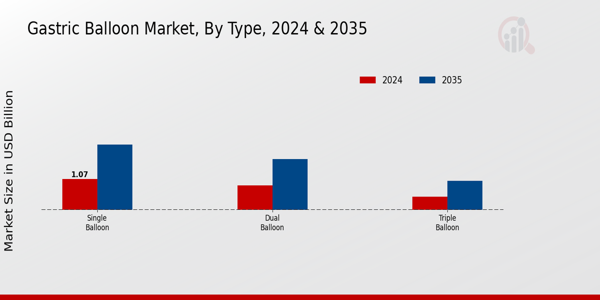 Gastric Balloon Market Segment