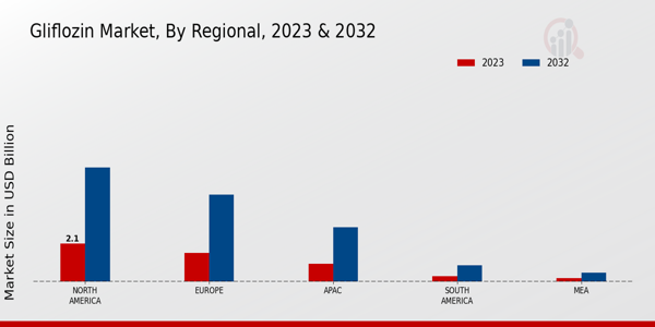 Gliflozin Market Regional Insights  