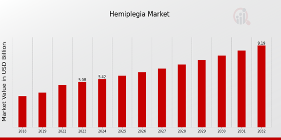 Global Hemiplegia Market Overview