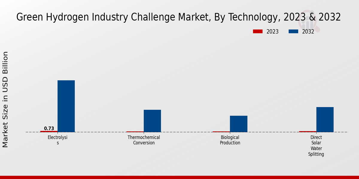 Green Hydrogen Industry Challenge Market Segment Insights