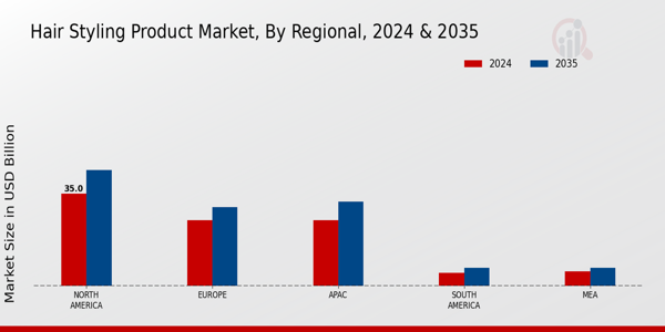 Hair Styling Product Market Regional Insights