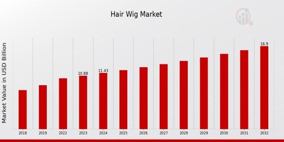 Hair Wig Market Overview