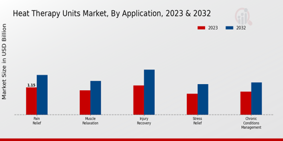 Heat Therapy Units Market Application Insights