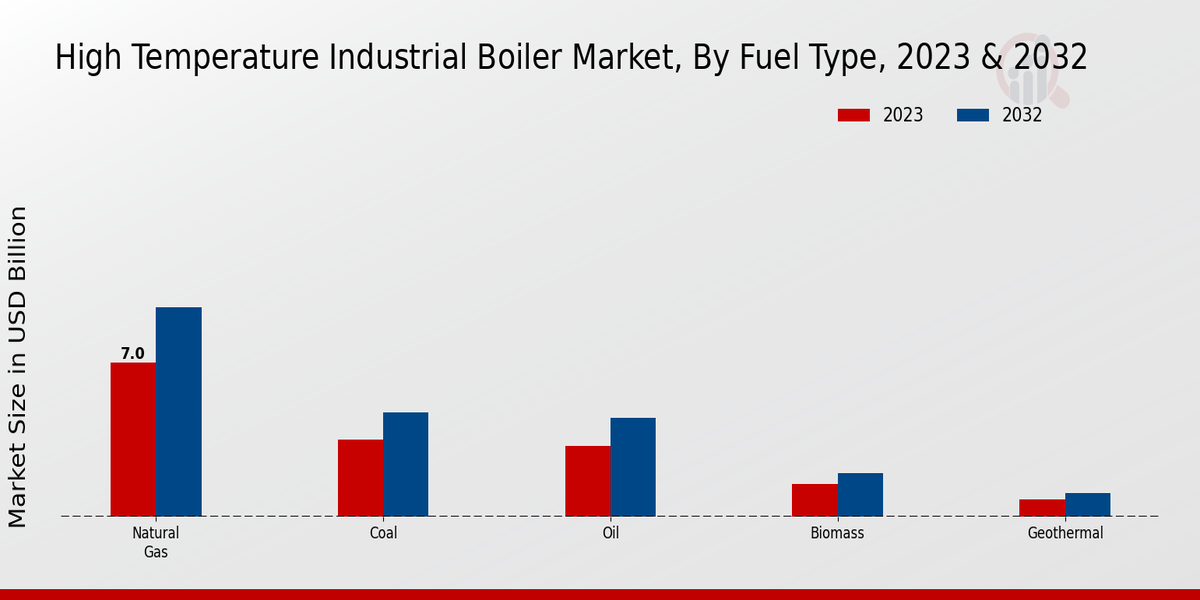 High-Temperature Industrial Boiler Market Fuel Type Insights