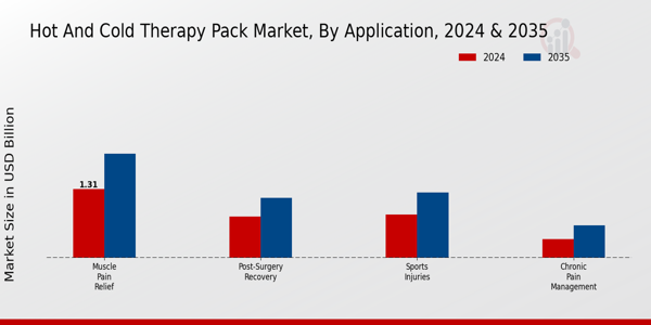 Hot And Cold Therapy Pack Market Segment