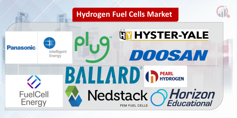 Hydrogen Fuel Cell Manufacturer