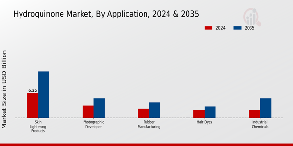 Hydroquinone Market Application