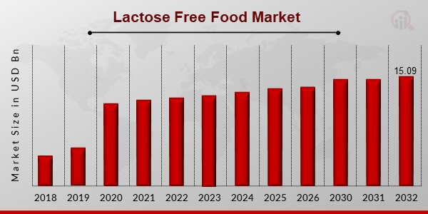 Lactose Free Food Market Overview