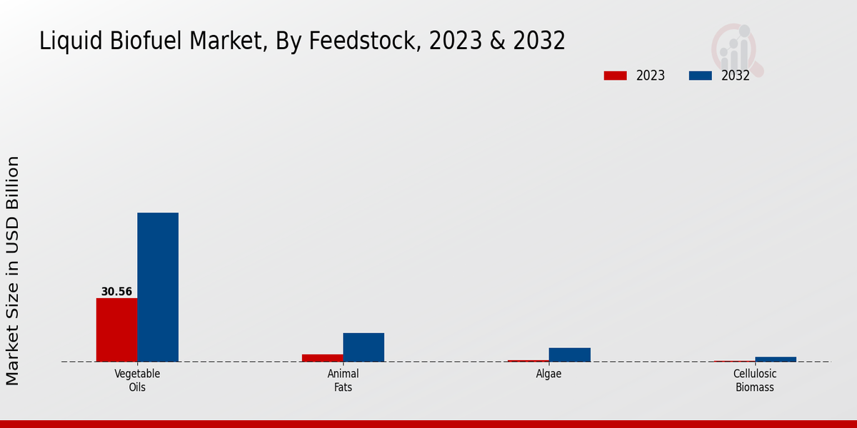 Liquid Biofuel Market Segmentation