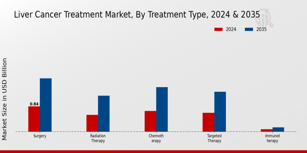 Liver Cancer Treatment Market Segment