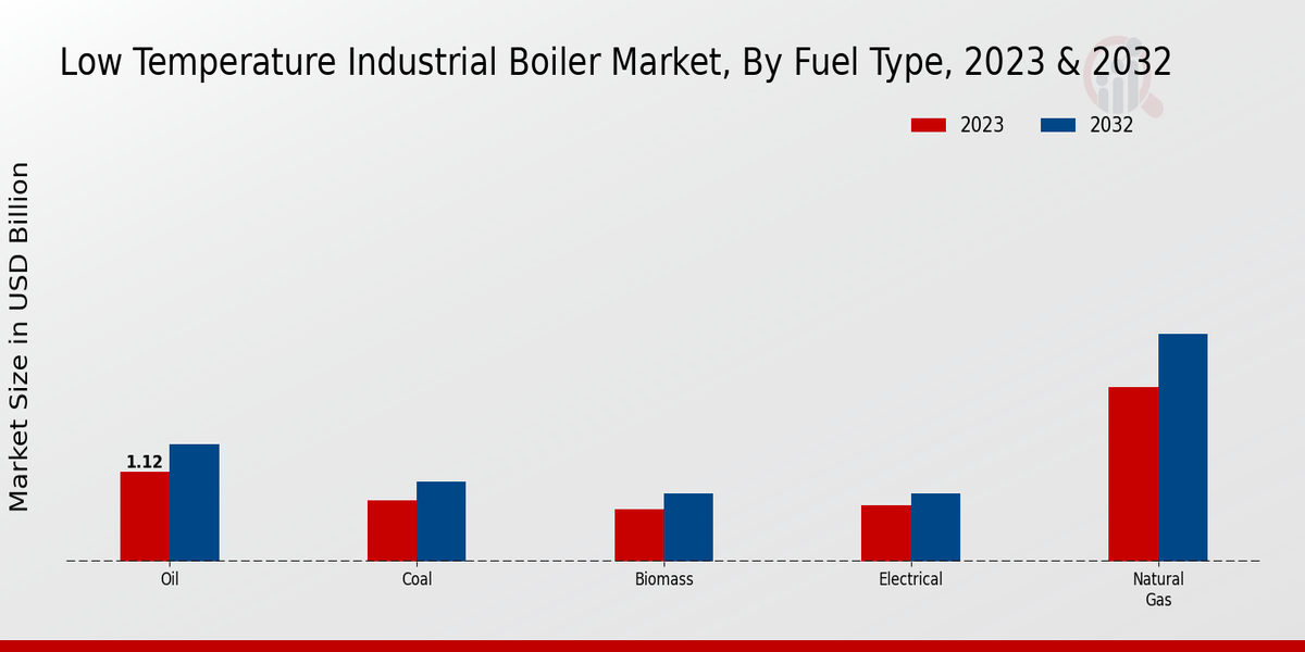 Low-Temperature Industrial Boiler Market Fuel Type