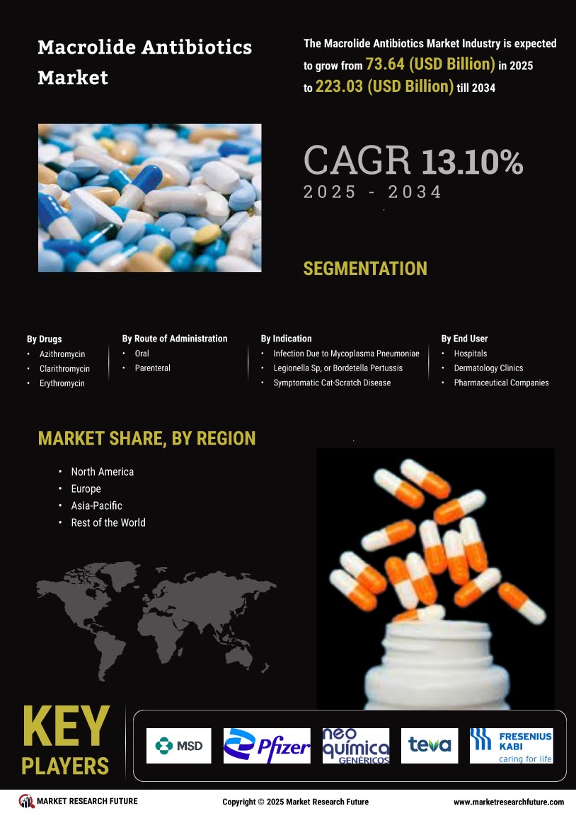 Macrolide Antibiotics Market