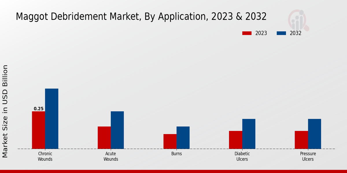 Maggot Debridement Market Application Insights