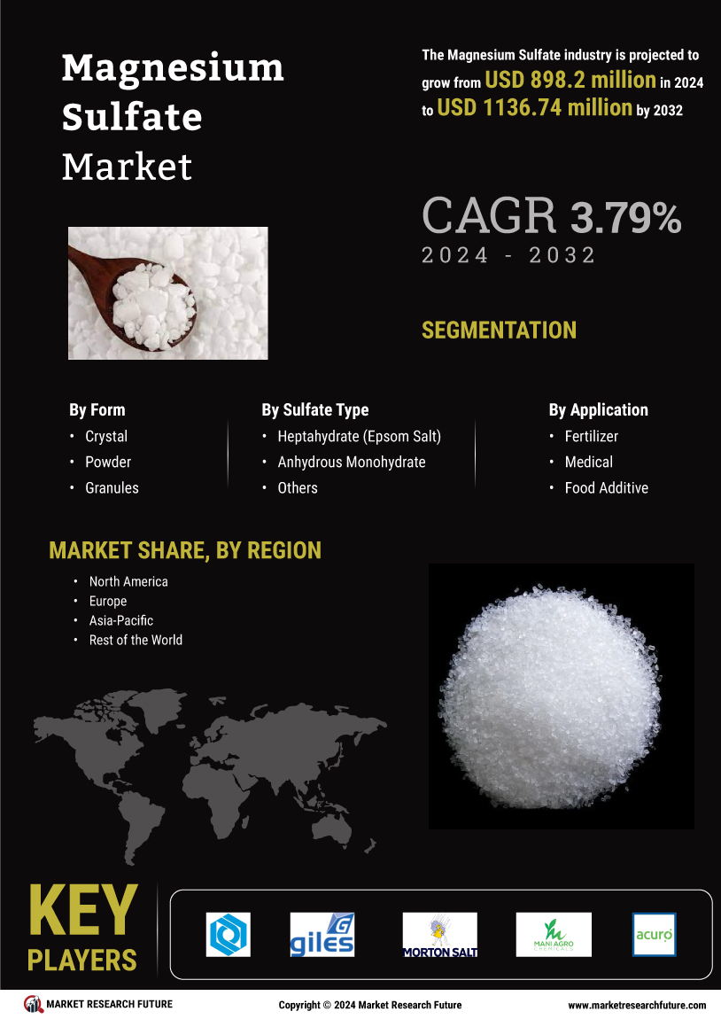 Magnesium sulfate market infographs