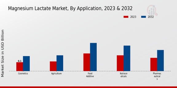 Magnesium Lactate Market Application