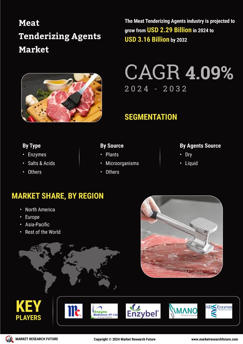 Meat Tenderizing Agents Market