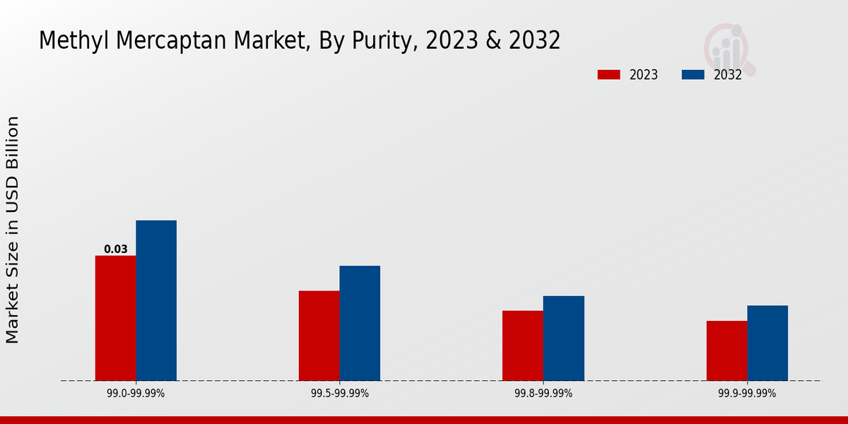 Methyl Mercaptan Market Segment