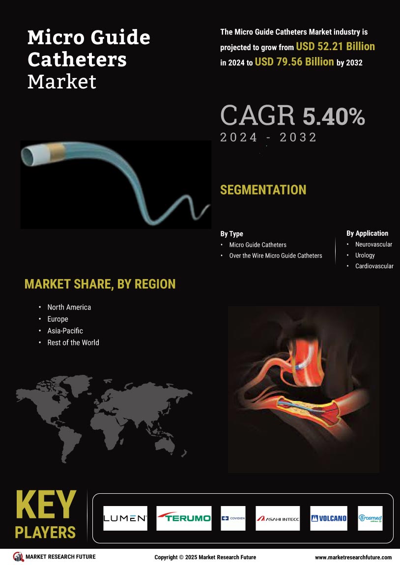 Micro Guide Catheters Market