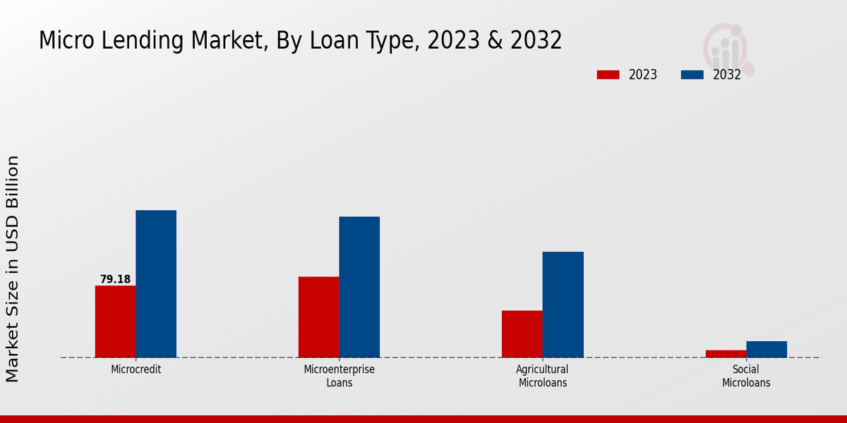 Micro Lending Market Loan Type Insights