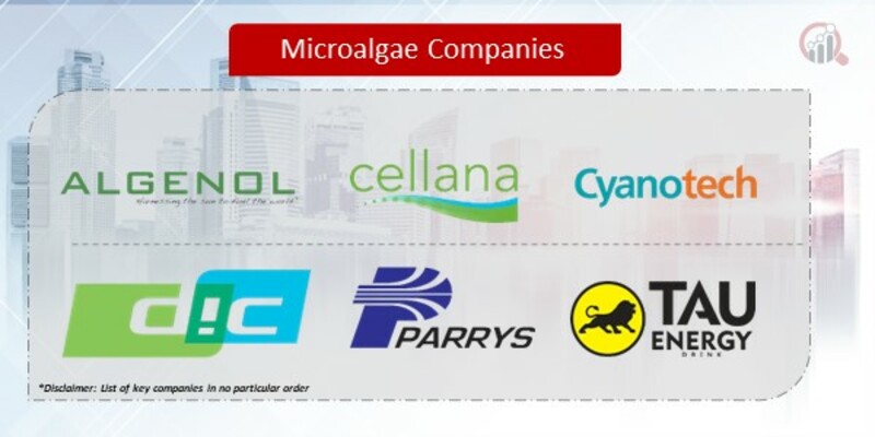 Microalgae Companies