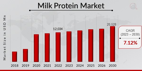 Milk Protein Market Overview