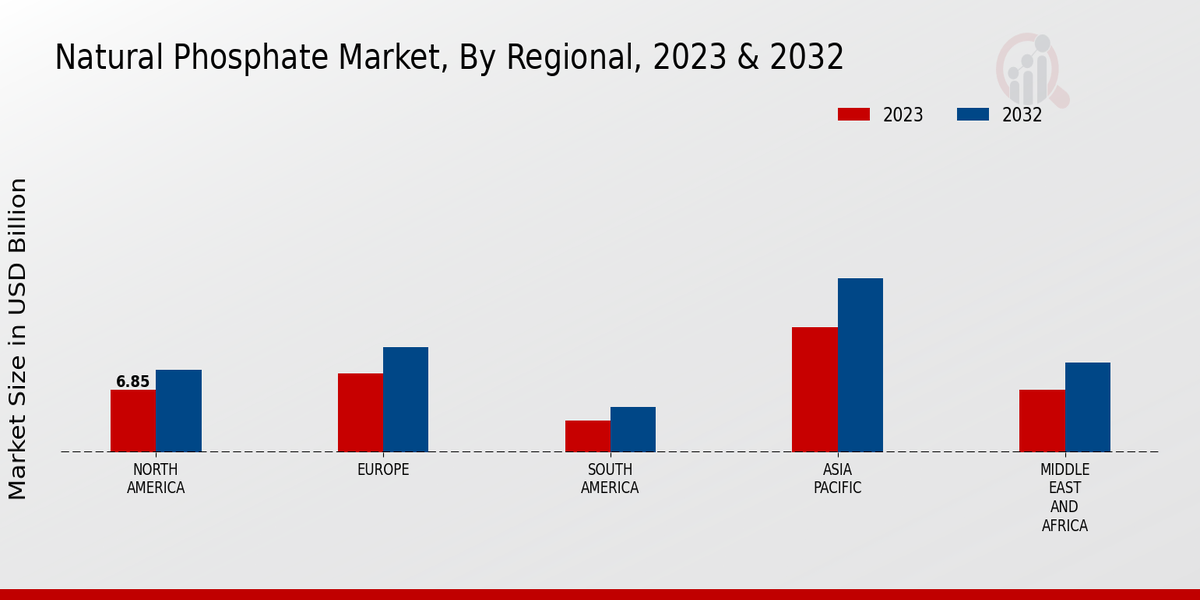 Natural Phosphate Market By Region