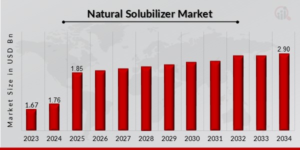 Natural Solubilizer Market Overview