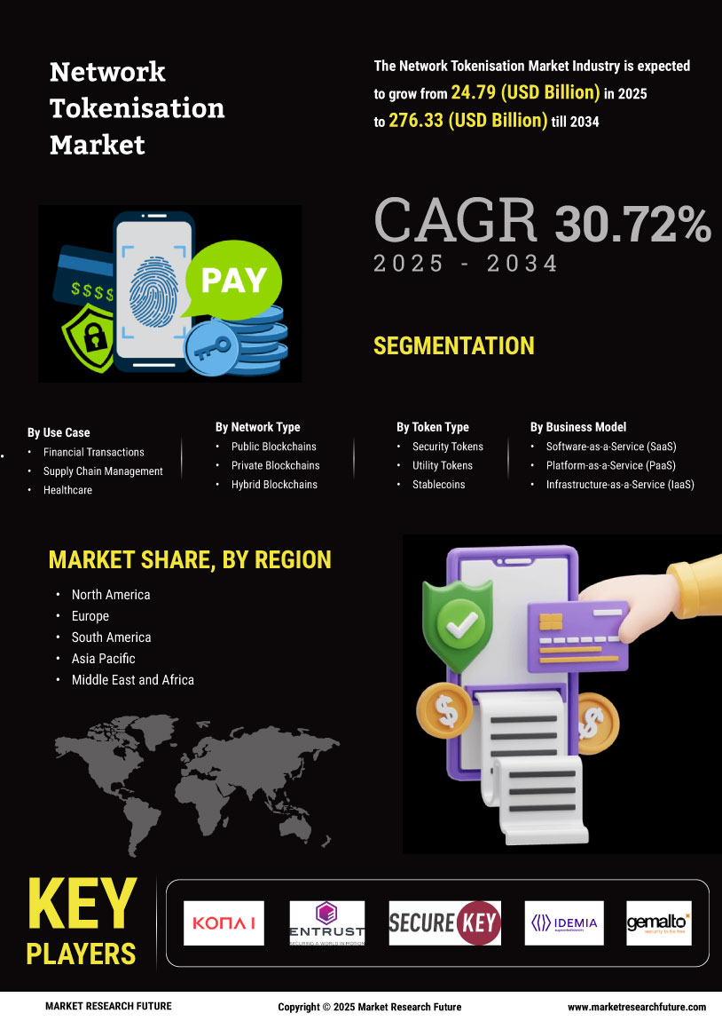 Network Tokenisation Market