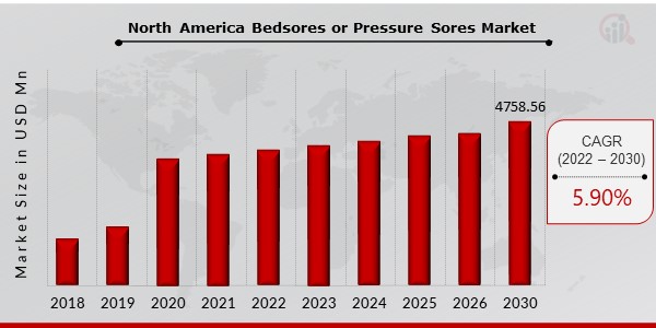 North America Bedsores or Pressure Sores Market