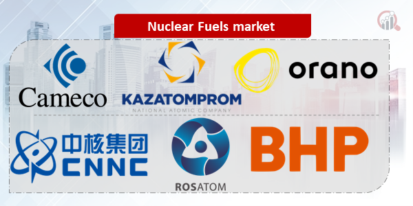 Nuclear Fuels Key Company