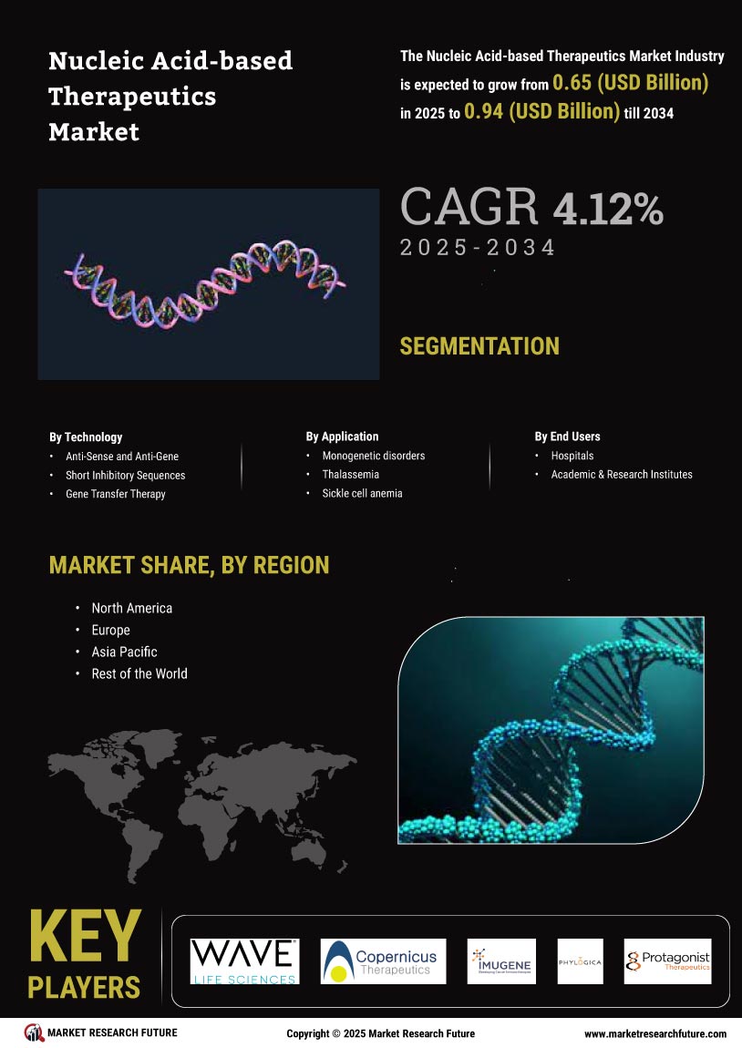 Nucleic Acid-based Therapeutics Market