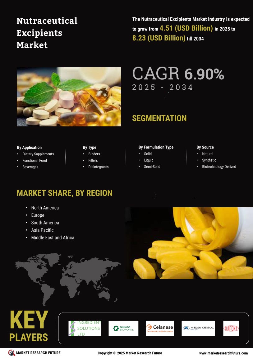 Nutraceutical Excipients Market