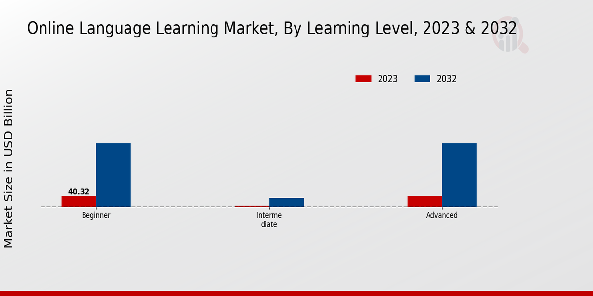 Online Language Learning Market by Learning Level