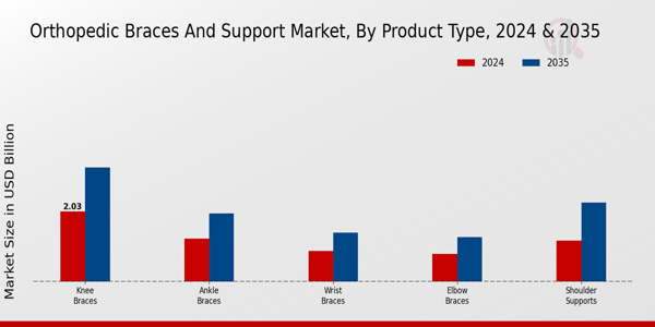 Orthopedic Braces And Support Market Segment