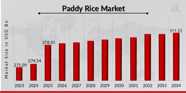 Paddy Rice Market Overview