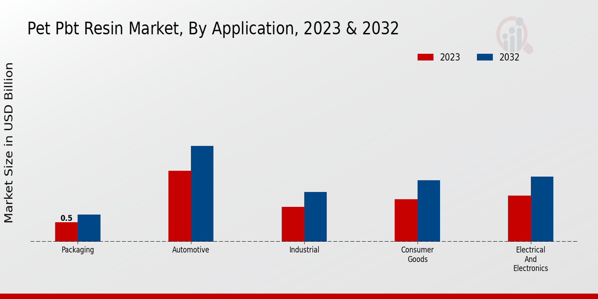 Pet PBT Resin Market By Application