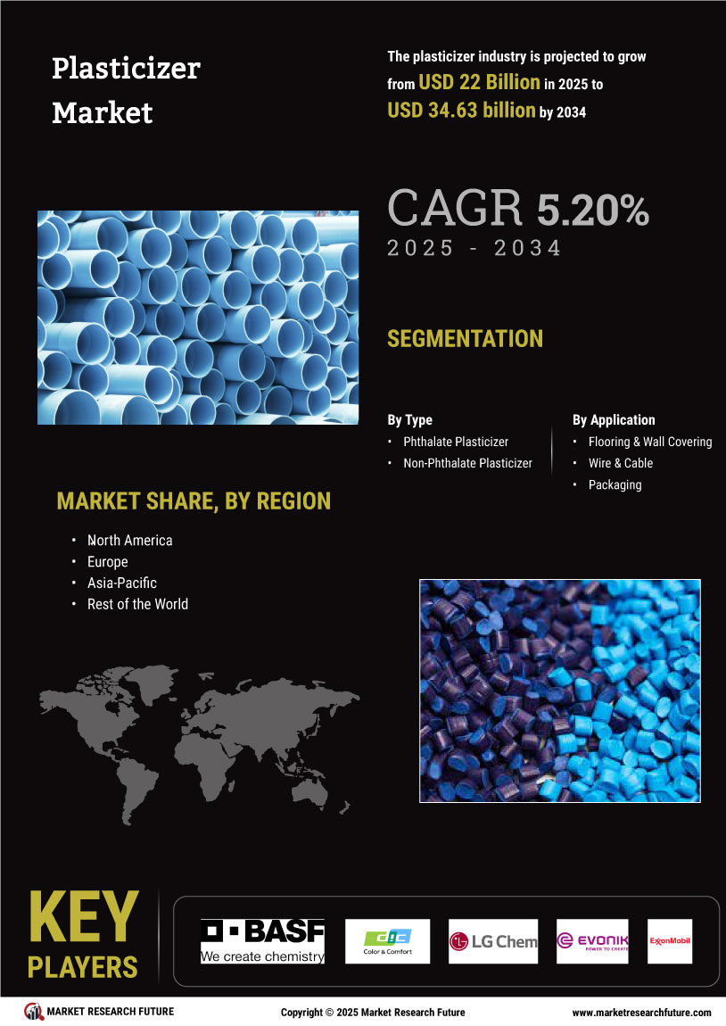 Plasticizers Market