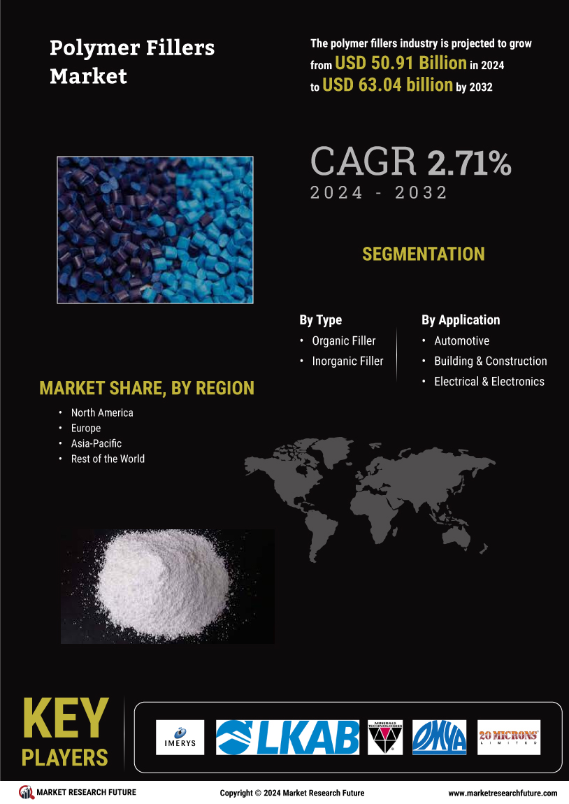 Polymer fillers market infographic