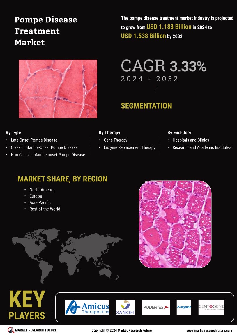 Pompe Disease Treatment Market